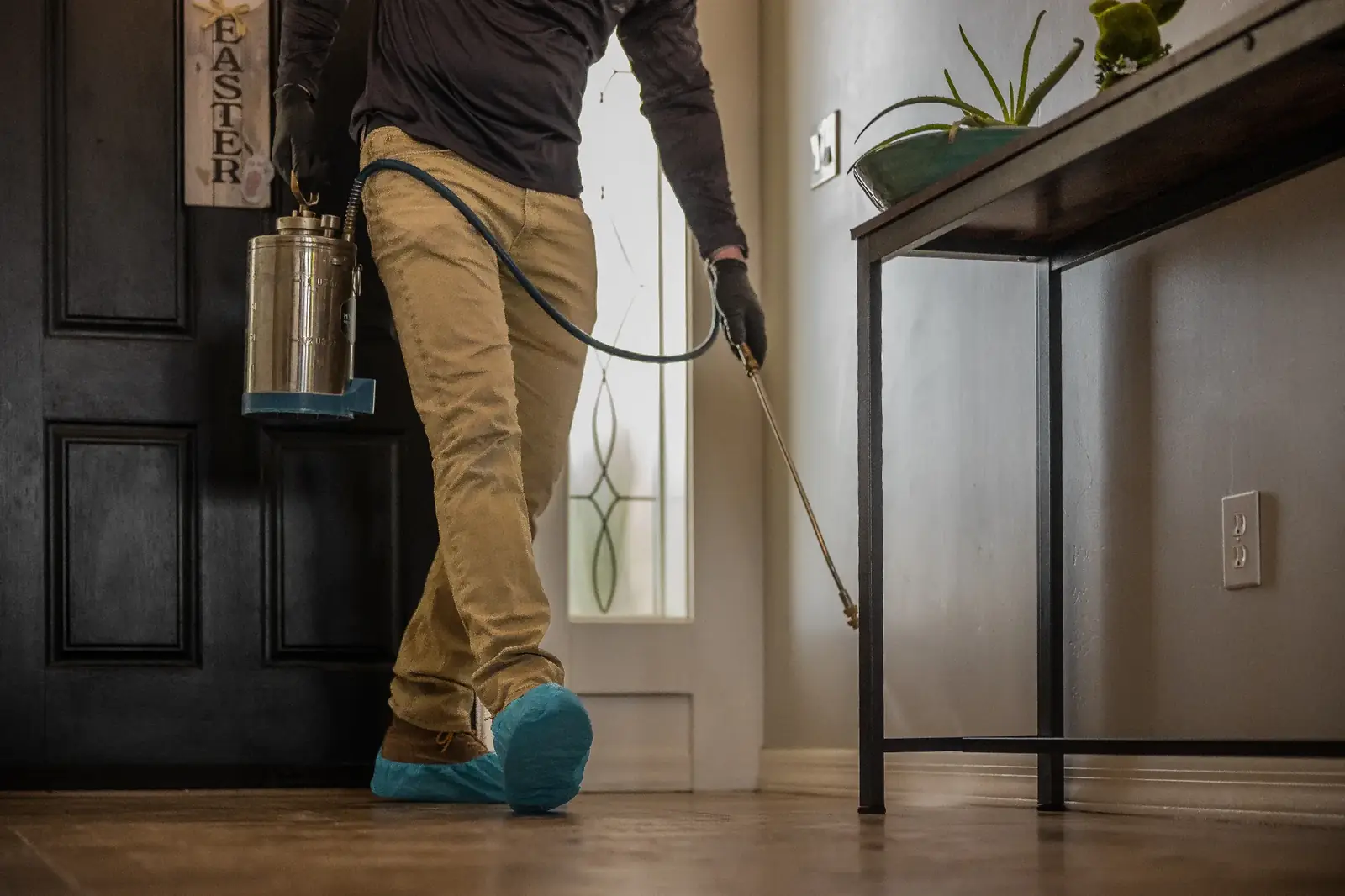 Specialty Pest Solutions pest control service